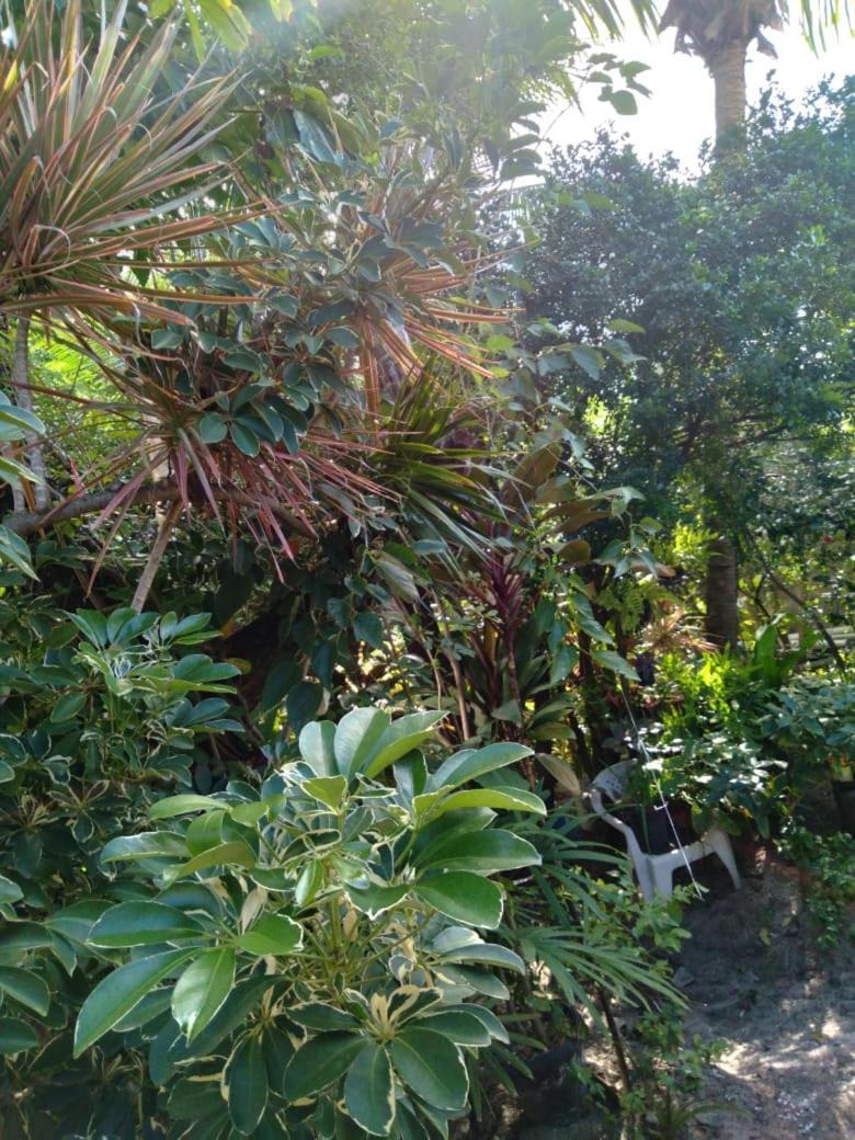 Hospedaria D'Maria Salvador Exterior foto